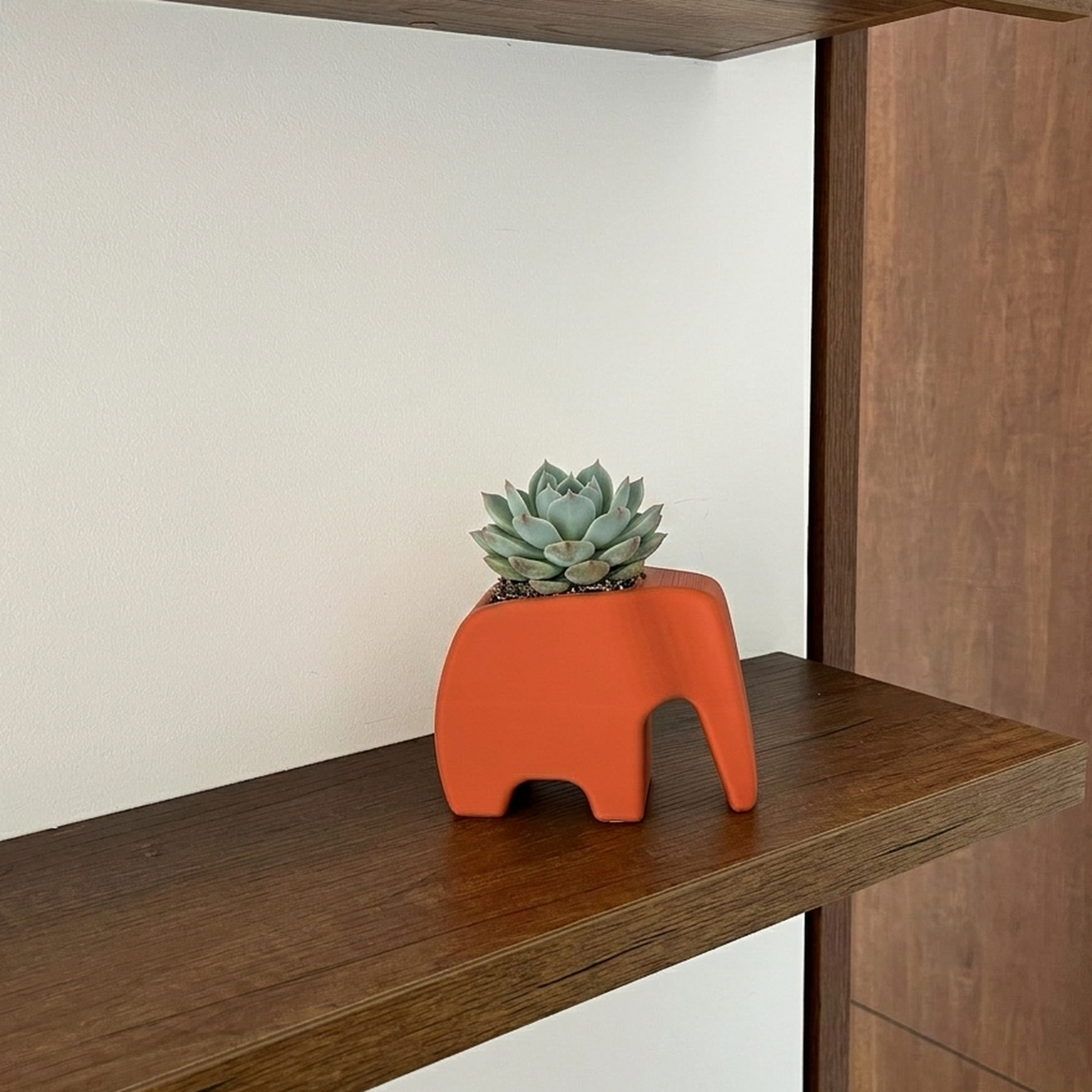 Tamaño mediano (Terracota) en repisa