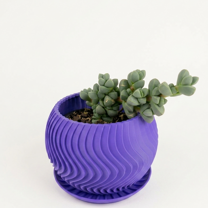 Maceta purple con planta suculenta, vista cercana 3/4, se aprecia la textura ondulada y la bandeja de drenaje debajo