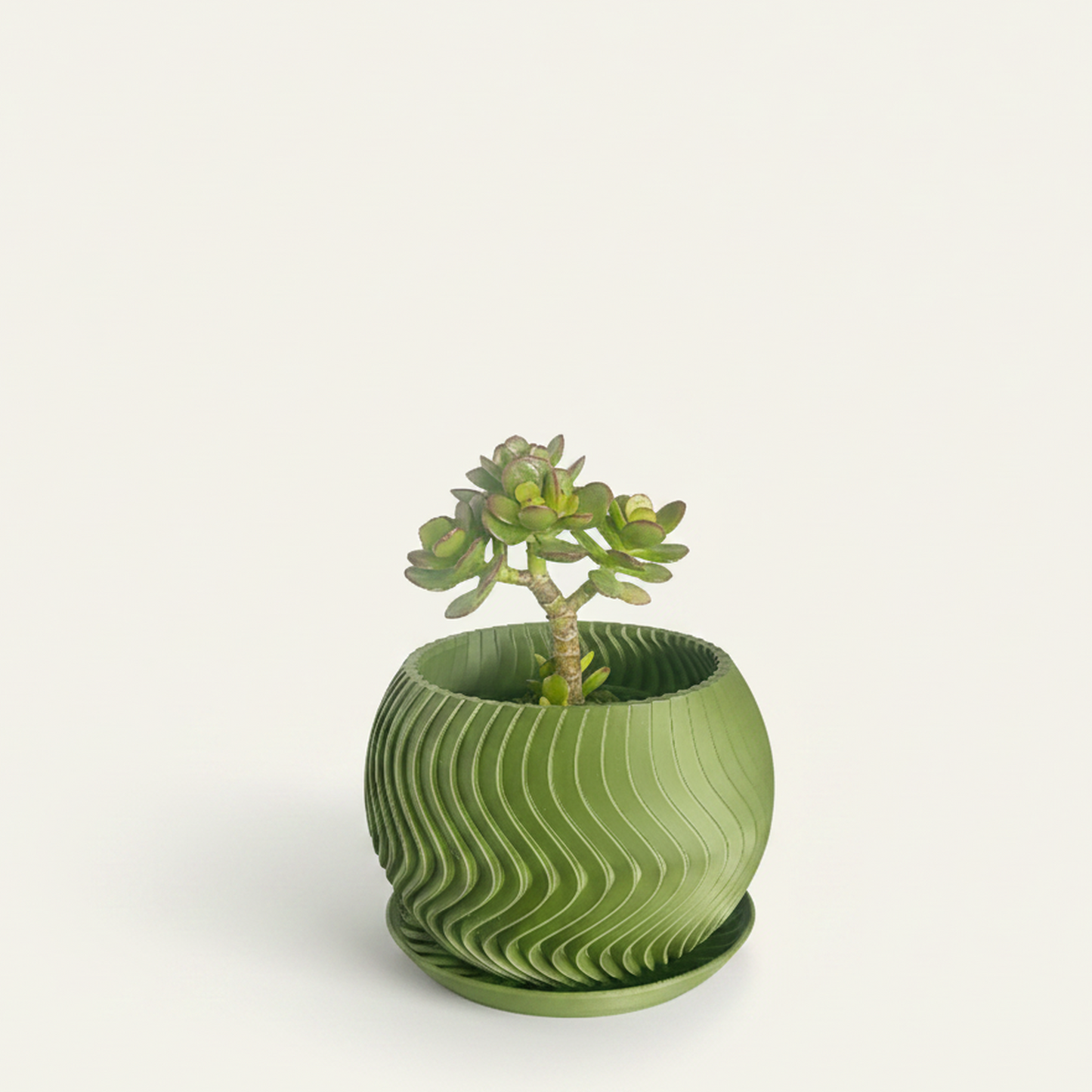 Maceta verde sola con planta suculenta, centrada en nicho con fondo claro, angulo frontal