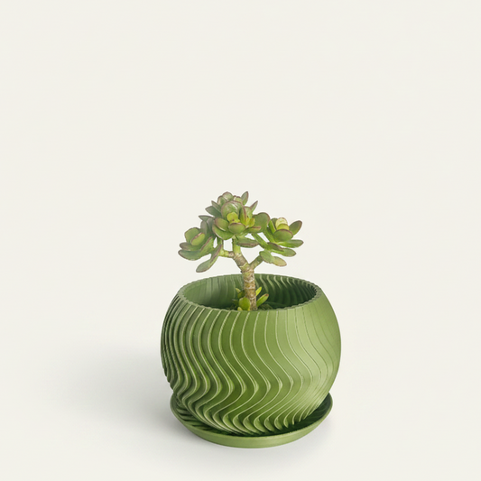 Maceta verde sola con planta suculenta, centrada en nicho con fondo claro, angulo frontal