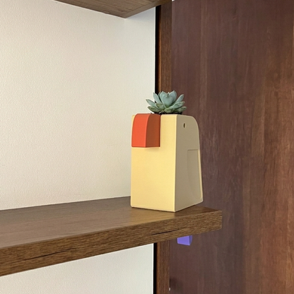 Pieza multicolor — toma amplia del loro con suculenta en la repisa de la biblioteca