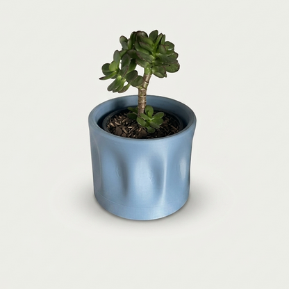 Maceta minimalista blue grey con planta jade (crassula) sobre repisa de madera oscura, vista frontal centrada, fondo de pared blanca