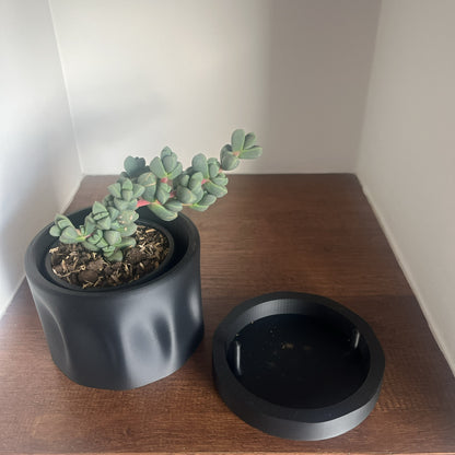 Maceta charcoal con suculenta junto a bandeja de drenaje separada, muestra el sistema de dos piezas